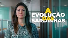 A Evolução das Sardinhas