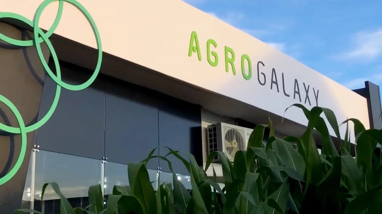 Prejuízo da Agrogalaxy no 3T24 cresce quase 18 vezes