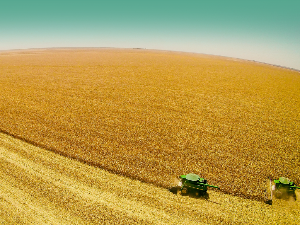 Aquisição da SLC Agrícola amplia presença no Norte e Nordeste